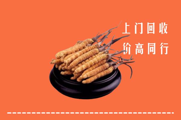 高价求购：奉新县回收散虫草