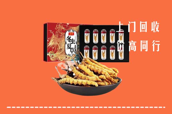 奉新县回收虫草